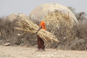 woman carrying straw