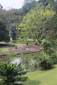view of some of the ponds in the Botanical Gardens, and some of the original stone paths