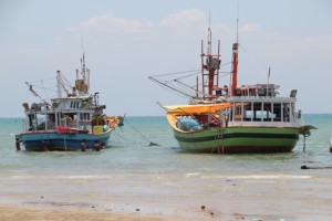 and some of the larger fishing boats