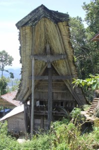 an old tongkonan, with original roof