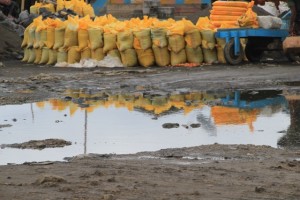 yellow sacks with whatever, mirrored in the puddles