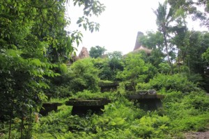 the tombs anouncing Kampung Praijiang, visible on the hill
