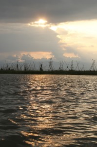 bamboo stakes around the lake - Danau Taube
