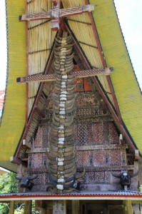 the front of one of the tongkonans