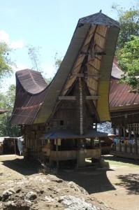 tongkonan, with its typical roof, decorated panels, and buffalo horns