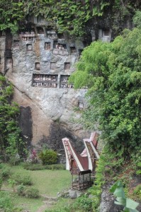rock face with multiple tau tau balconies in Lemo