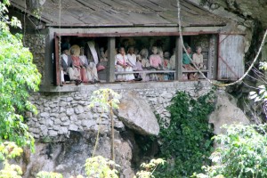 row of tau tau above the Londa cave entrance