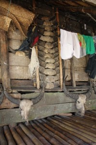 houses are decorated with the horns of slaughtered water buffalo