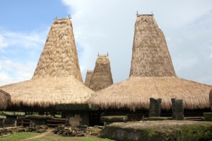 a typical Kodi village, dominated by extremely tall houses