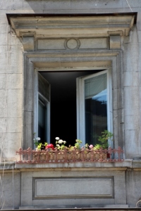 Sofia window