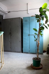 and storage cupboards on the corridors, as well as one plant
