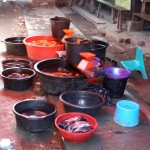 buckets of fish in the market
