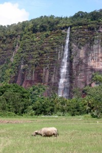 one of the many water falls in the Harau Canyon