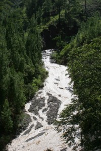 mountain stream in the jungle of Aceh Tenggara