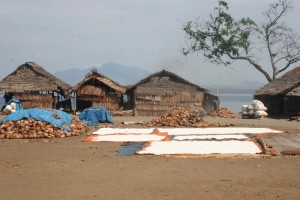 salt drying in Nanggaha