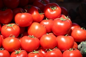 tomatos make a colourful picture