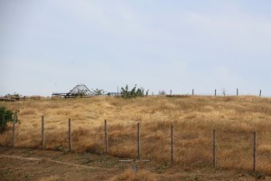 the border between Kyrgyzstan and Uzbekistan, 20 m no-man's land between barbed wire
