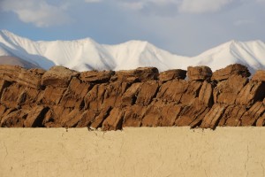 yak dung cakes drying
