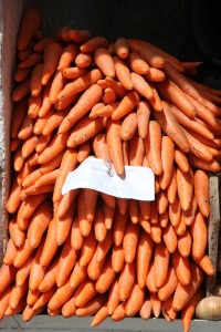 orange carrots in Green Bazaar