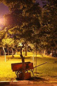 one of the small parks in Ardabil, at night