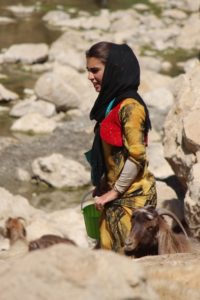 Kurdish girl milking the goats in Palangan