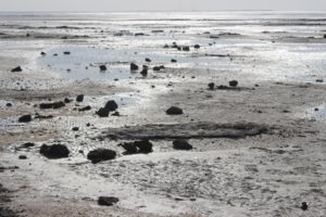 low tide in Al Jumail
