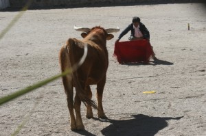 Casabindo bull fight