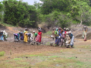 Manalamedu village, land reclaim 3