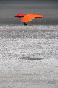 parasols on the beach of San Antonio Este