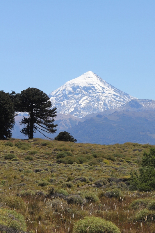 Lanin volcano from 50 kms away