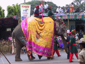 caparisoned elephant in the parade (2)