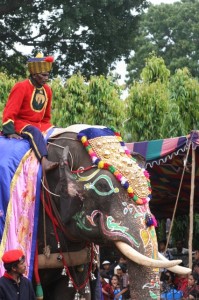 caparisoned elephant in the parade