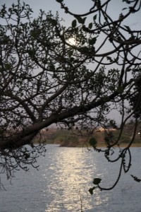 moonlight over Lake Tana 