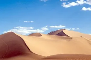 dune landscape