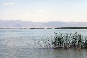 Bosten Lake