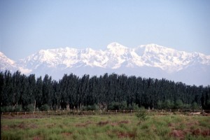 snow-capped mountains outside Aksu