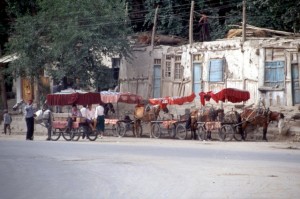 public transport in Hotan