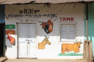 how do you advertise yourself in an analphabetic environment? the vet, in Jinka