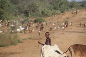 many South Omo Valley people are, or were, pastoralists