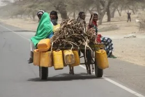 transport between Awassa and Lake Ziway