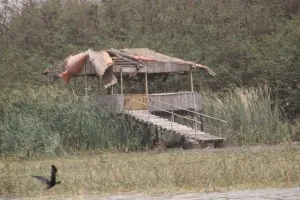 the partly-collapsed jetty