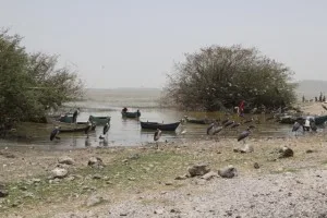 the local fish market