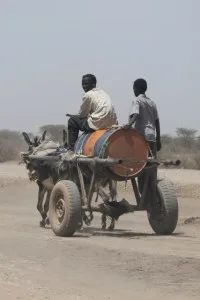 water cart in Somaliland