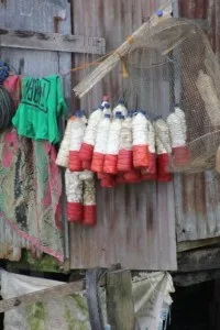 fishing trap and floaters