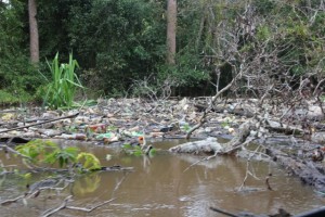 rubbish accumulating in the river