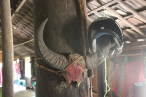 and buffalo horns come in handy