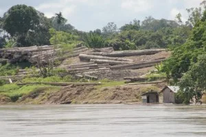 logging everywhere