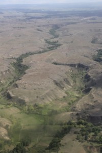 Sumba from the air, grassy hills and trees in the river valleys