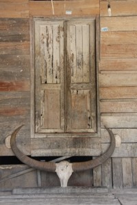 door decorated with a buffalo skull and horns