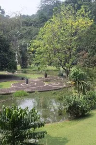 view of the garden